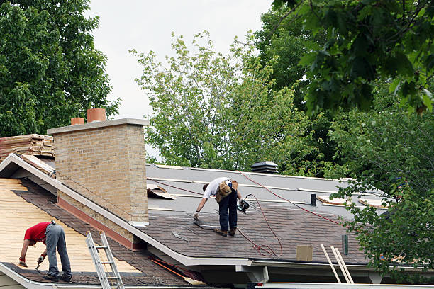 Professional Roofing Contractor in Lexington, TX