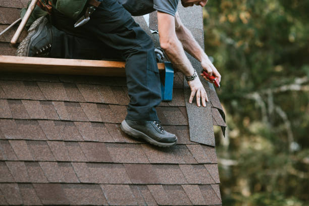 Best Gutter Installation and Roofing  in Lexington, TX
